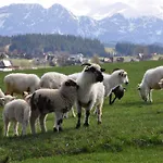Dom Z Widokiem Na Tatry * 자브
