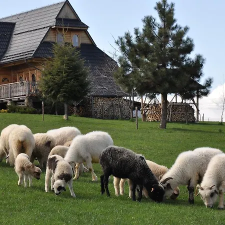 Dom Z Widokiem Na Tatry * זאוב