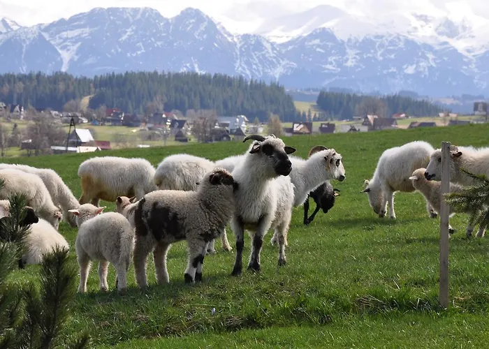 Dom Z Widokiem Na Tatry * Zab